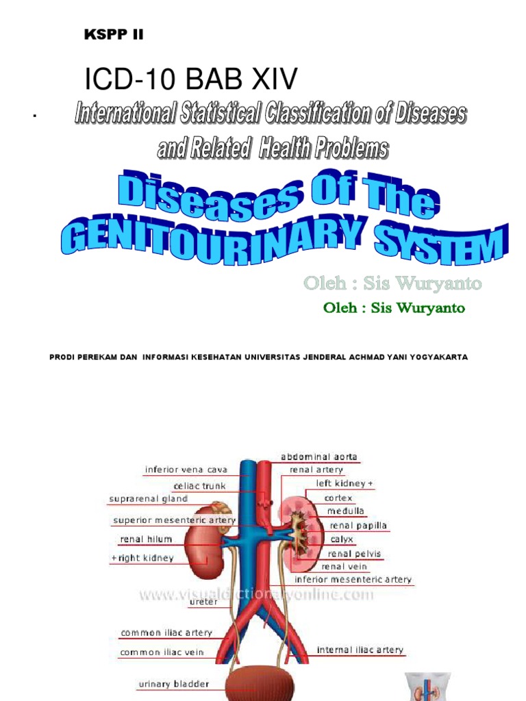 ICD10 BAB14 GENITOURINARY SYSTEM Temu12 PDF PDF