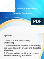 Earth and Material Processes - Exogenic Process