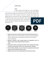 Tugas Metabolisme Mikologi OK