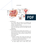 Review Alat Reproduksi