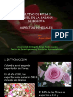 Presentacion General de Flores