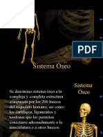 TEJIDO OSEO.pptx