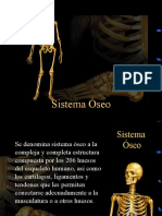 SISTEMA OSEO Definicion, Generalidades, Tejido y Celulas Oseas
