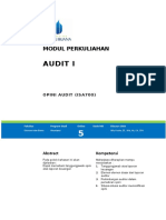 Modul Auditing I (TM5)