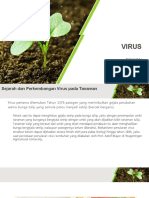 Young-plant-sprouting-PowerPoint-Templates-Widescreen.pptx