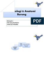 Morfologi Anatomi Burung