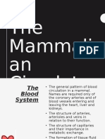 The Mammali An Circulator y System