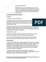 Practicas de Geografia Urbana PDF