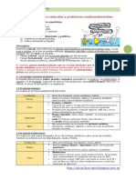 tema_6_Medio_ambiente.pdf