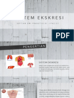 SISTEM EKSKRESI (septian).pptx