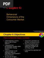 Behavioral Dimensions of The Consumer Market