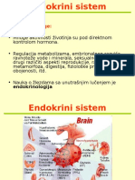 Endokrini Sistem