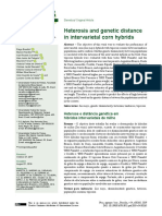 Heterosis and genetic distance in intervarietal corn hybrids