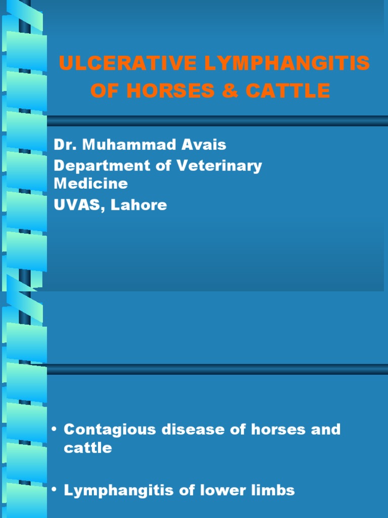 Ulcerative Lymphangitis Pdf