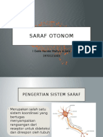 Saraf Otonom