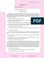 ensayo 06.pdf