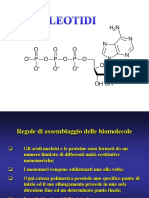 2013_5_nucleotidi