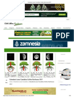 Calendario Lunar Cannábico Cultivo Marihuana 2017