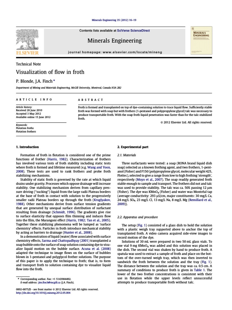 Visualization of Froth Flow Dynamics | PDF | Foam | Liquids