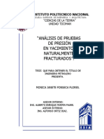 Análisis de Pruebas de Presión en Yacimientos Naturalmente Fracturados PDF