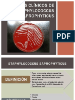 Casos Clínicos de Staphylococcus Saprophyticus