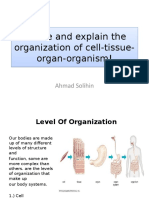 Define and Explain The Organization of Cell-Tissue-Organ-Organism! Define and Explain The Organization of Cell-Tissue - Organ-Organism!