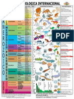 Escala de tiempos geologicos.pdf