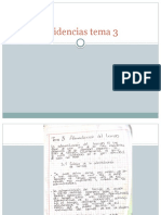 Evidencias tema 3