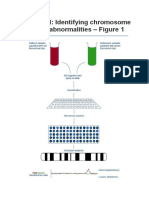 Array CGH: Identifying Chromosome Dosage Abnormalities - Figure 1