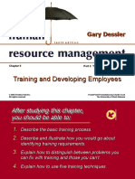 Training and Developing Employees