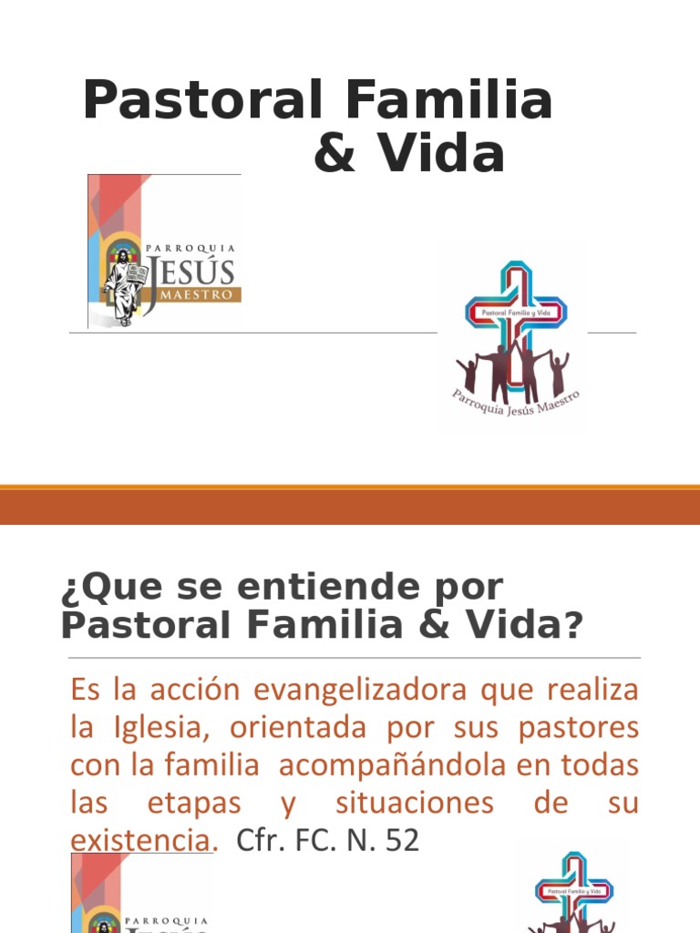 Pastoral Familiar y Vida en la Iglesia | PDF | Iglesia Católica ...
