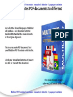Multilizer Translates PDF Documents To Different Languages