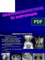 Imagistica-in-nefrologie