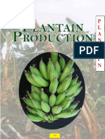 10955-NARI Guyana Production de Bananes Plant