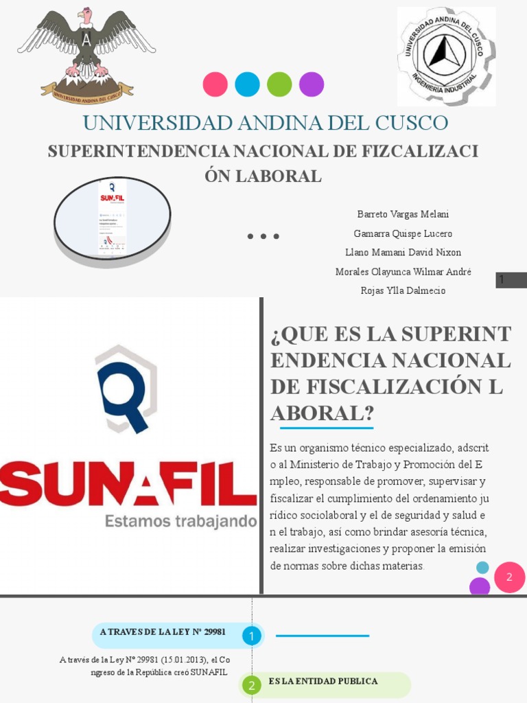 Funciones y Alcance de SUNAFIL | PDF | Derecho laboral | Gobierno