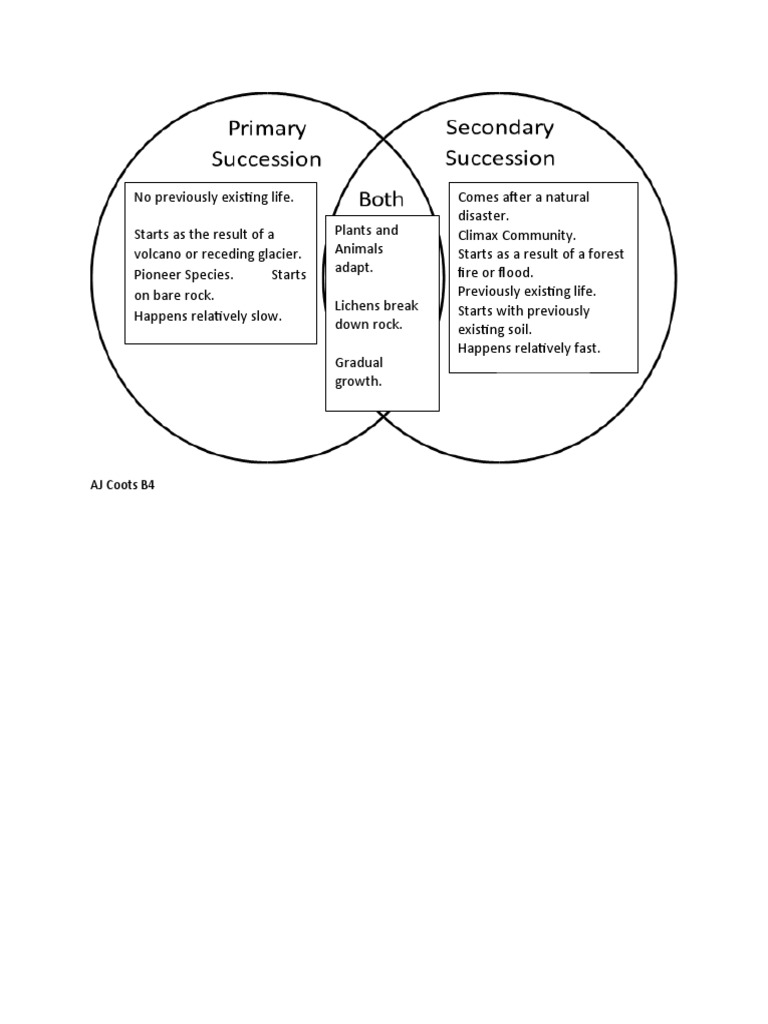 Venn Diagram | PDF