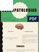 Neuropatologias 231