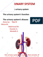 The Urinary System 9999