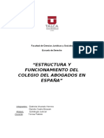 Trabajo de Estrategia Judicial Colegio de Abogados en España