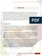 Trabajo Lili1 PDF