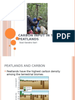 2-Input Carbon Dalam PSF