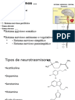 colinergicos [Autoguardado]