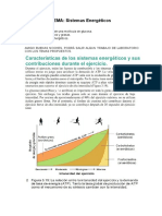 Práctica de Laboratorio de Sist. Energéticos