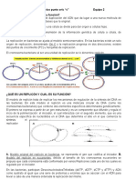 Replicación en Bacterias 281119