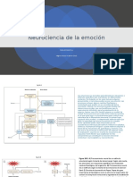 Neurociencia de La Emoción