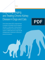 IRIS Pocket Guide To CKD PDF