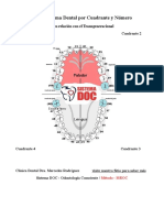 Descodificacion Dental y Su Relación Con El Transgeneracional