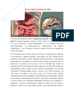 Helicobacter Pylori Sesion 2