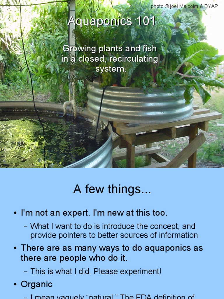 our aquaponics: step by step how i did my aquaponics