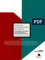 2b1a8delivro V I Principios Constitucionais Relevantes PDF